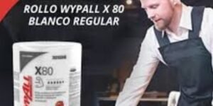 Limpieza Wypall X-80